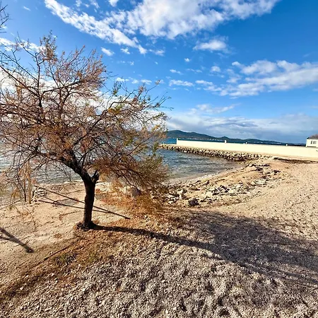 Rina Mobile House * סבטי פטר