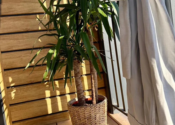 Rina Mobile House סבטי פטר